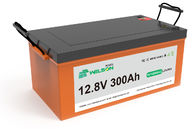 WelsonPower House Rechargeable Lifepo4 Battery 300ah 12 Volt Battery Deep Cycle Rv  Lithium Caravan